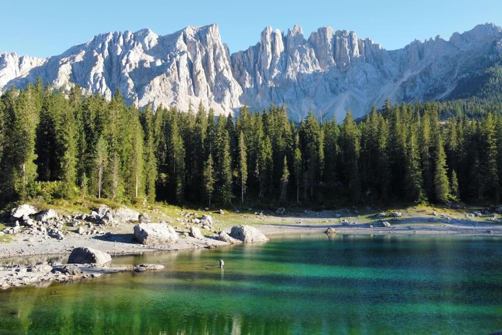 Encia'S Home Dolomiti Castello-Molina di Fiemme Εξωτερικό φωτογραφία